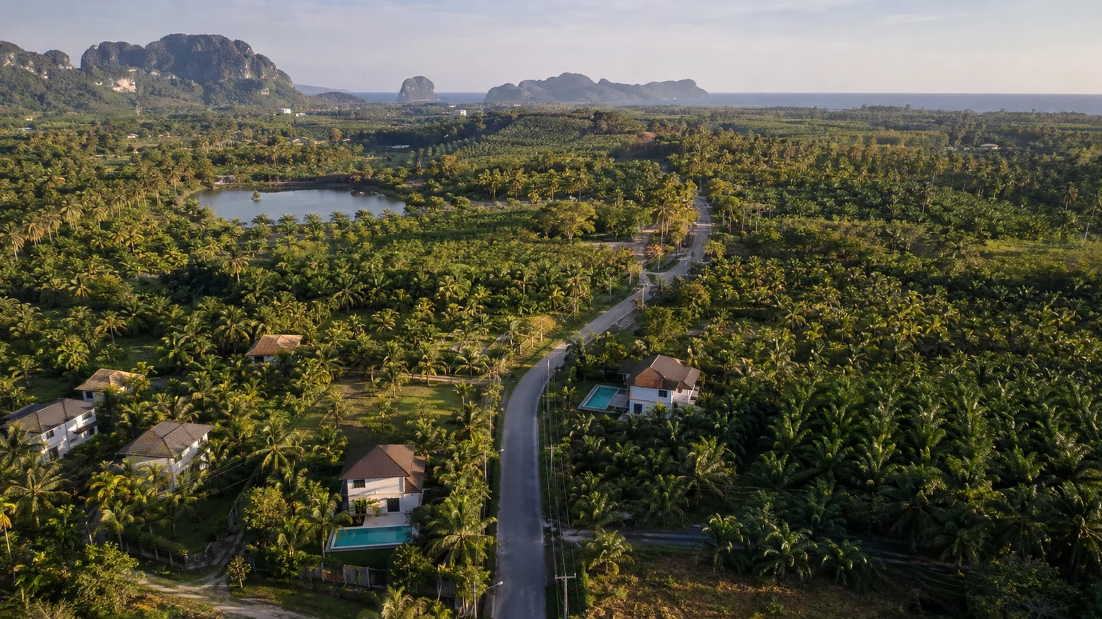 Thep Krasattri from above: palm plantations, sparse building, the road to the sea
